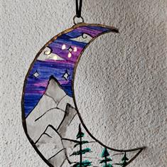 Moon wanderer