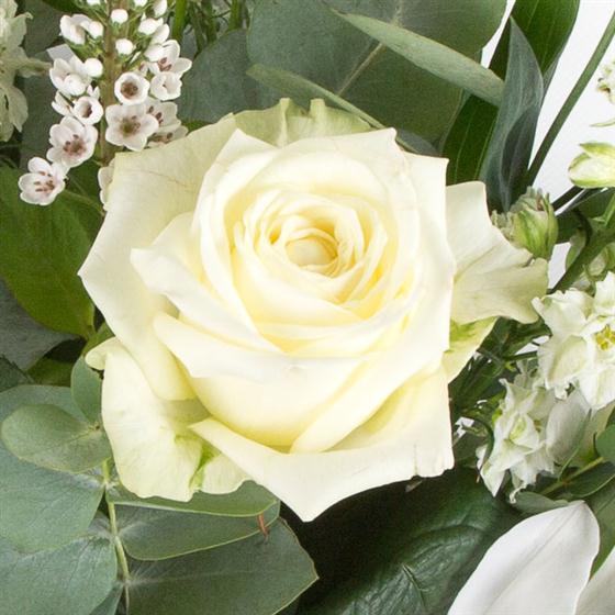 Ivory Pearls Avalanche Roses Bouquet